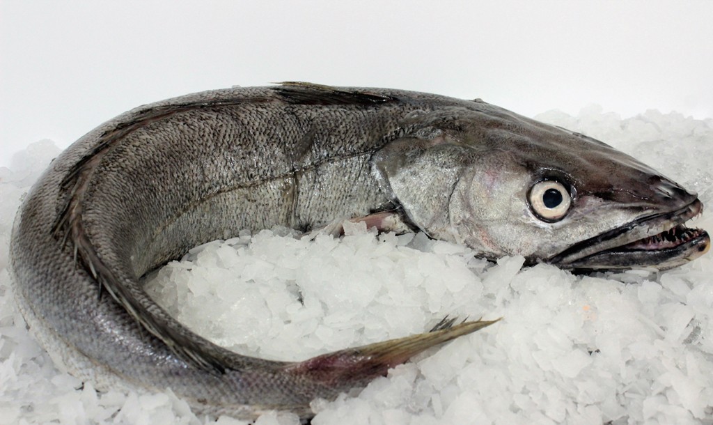 Треска фото рыбы с головой замороженная